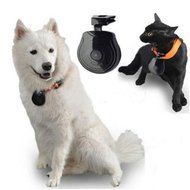 NEW Pet Camera Dog Cat Collar Video Camera Pet's Eyes Auto Interval Record