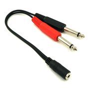 HENGSHENG&reg; 3.5mm (Mini) 1/8" Female Plug to 2 Dual 1/4 Inch 6.35mm TRS Mono Male Adapter Cable 20cm/8inch (3.5FM...