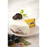 Fuji enamel circle cake mold 18cm 55002