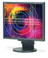 NEC MultiSync LCD2170NX-BK - LCD display - TFT - 21.3&quot; - 1600 x 1200 / 60 Hz - 300 cd/m2 -... N2