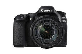 Canon EOS 80D DSLR Camera + Canon 18-135mm IS USM Lens + Canon 55-250mm IS STM Lens + 0.43X Wide Angle Lens +... N2