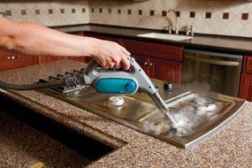 Hoover TwinTank Disinfecting Canister Steam Cleaner - WH20300 N6