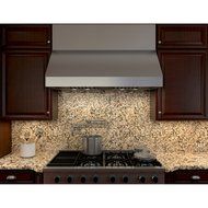 Zephyr 48W in. Tempest II Wall Mounted Range Hood N4