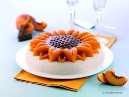 Silikomart 1 Cavity Cake Mold, Orange