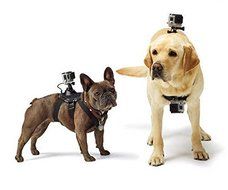 ProGear Dual Chest And Back Mount Dog Or Pet Harness With Free J-Hook And Buckle Mount For GoPro Hero 4/3+/3/2/1