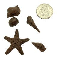 Ninewell Sea Star Shell Seashell Candy Fondant Mold Silicone Sugar Craft Chocolate Cake Mould