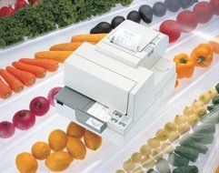 Epson TM-H5000II, RS232 Cutter White direct thermal, 120mm/sec., C31C246012 (direct thermal, 120mm/sec. order... N2