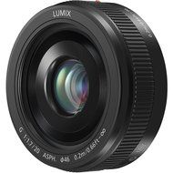Panasonic Lumix DMC-GX8 4K Wi-Fi Digital Camera Body (Silver) with 12-35mm f/2.8 OIS Lens + 64GB Card + Battery... N8