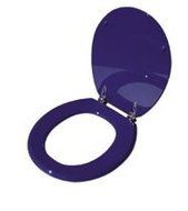 Il Tondo Blue (Round)