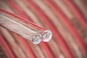 Aurum Cables 12 Gauge Dual Color Transparent PVC Speaker Zip Wire l Green and Regular Transparent I w/ ft markings... N15