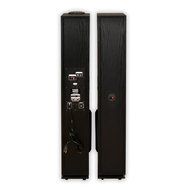 Acoustic Audio TSi400 Bluetooth Powered Floorstanding Tower Multimedia Speakers with Optical Input and Mic TSi400DM1 N5