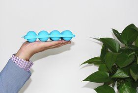 12-Cavity Egg Shape Silicone Mold for Cake Lollipop Ice Sphere Chocolate, 1 Pair / Package, Random Color N5