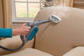 Hoover TwinTank Disinfecting Canister Steam Cleaner - WH20300 N20