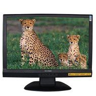 22-Inch Envision G218a1 Widescreen VGA/DVI TFT LCD Monitor (Black)