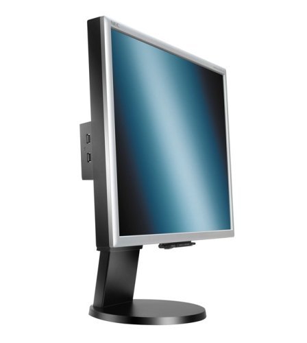 NEC MultiSync LCD2170NX-BK - LCD display - TFT - 21.3" - 1600 x 1200 / 60 Hz - 300 cd/m2 -...