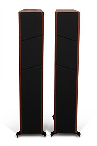 M100 Floorstanding Speaker - Boston Cherry N2