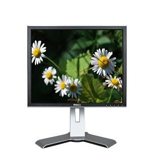 19" Dell 1907FPc DVI 720p Rotating LCD Monitor w/USB 2.0 Hub (Black/Silver) - Rotates to Portrait... N3