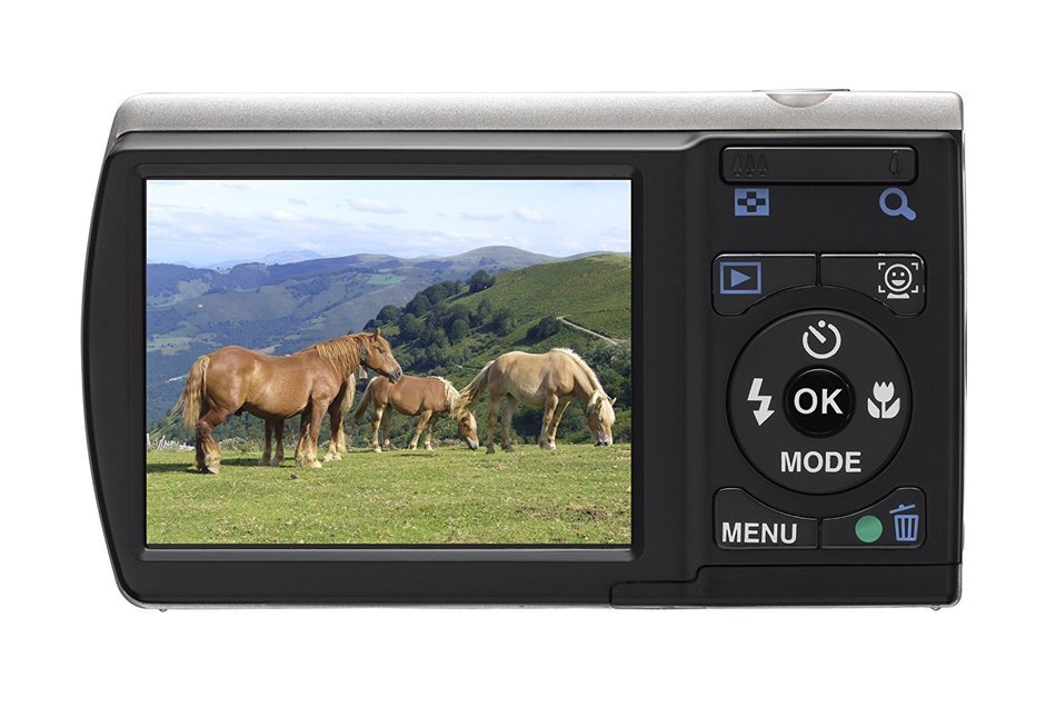 Pentax Optio E80 10MP Digital Camera with 3x Wide Angle Optical Zoom and 2.7-inch LCD (Silver)