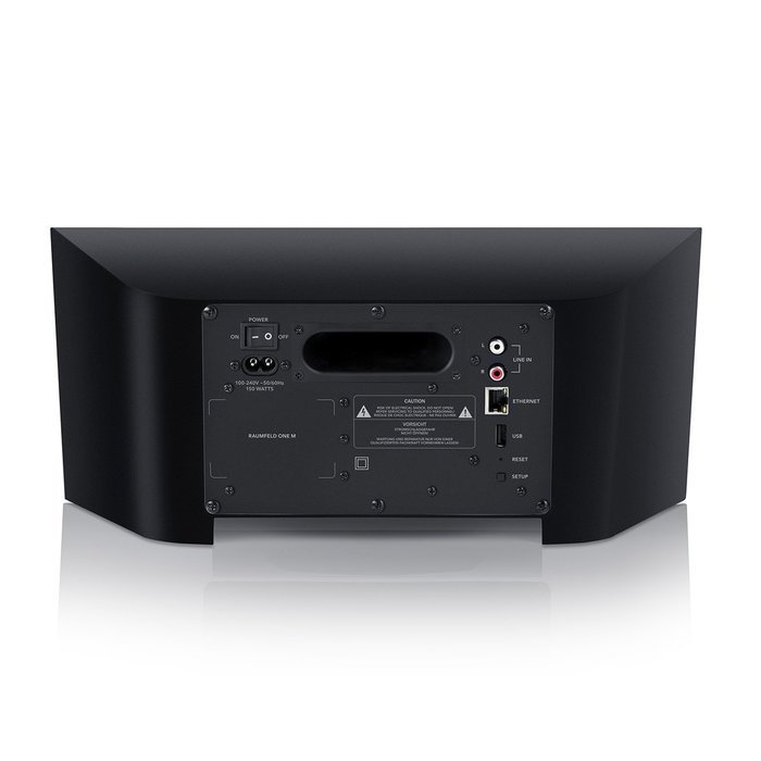 Raumfeld One M Streaming Wireless Speaker (Black) N2