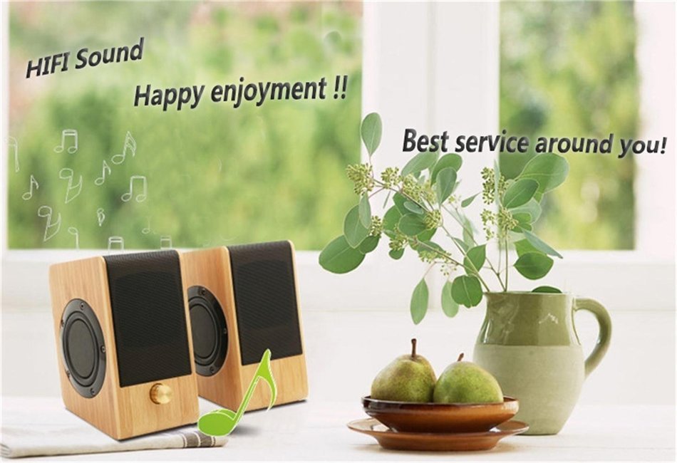 Sengu SG-S131 Hi-fi Bamboo Speaker With USB Powered N11