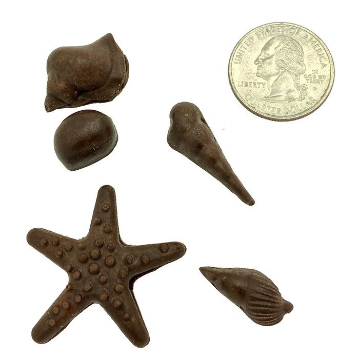 Ninewell Sea Star Shell Seashell Candy Fondant Mold Silicone Sugar Craft Chocolate Cake Mould