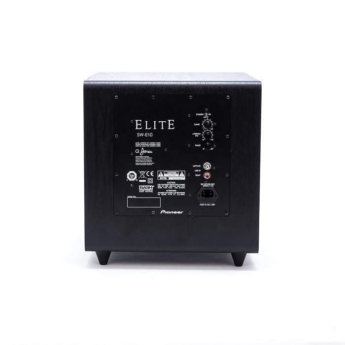 Pioneer Elite SW-E10 Andrew Jones 300-Watt Powered Subwoofer N4