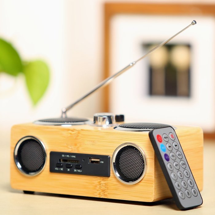 Sengu SG-S131 Hi-fi Bamboo Speaker With USB Powered N20