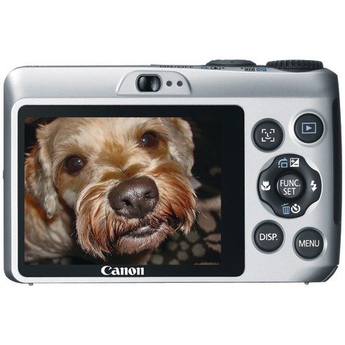Canon Powershot A1200 12.1 MP Digital Camera with 4x Optical Zoom (Black) N11