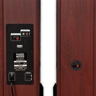 Acoustic Audio TSi600 Bluetooth Powered Floorstanding Tower Multimedia Speakers with Optical Input and Mic TSi600DM1 N5