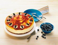 Kaiser 752075 &quot;Engergy&quot; Springform Pan, 10.24&quot;, 1 Base, Blue/Grey N3