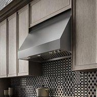 ELICA ECL148S2 Wall Mount Canopy Hood with Internal Blower, 4 Blower Speeds, Halogen Lamps, Stainless Rotating...