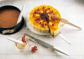 Kaiser 769493 Cake Lifter &quot;Patisserie&quot; of Plastic, White