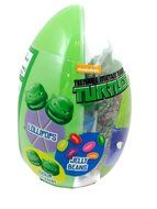 Teenage Mutant Ninja Turtles Egg Shaped Filled with Candy