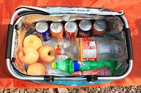 Foldable Cooler Bag / Ice Bag / Picnic Basket 4527.523Cm