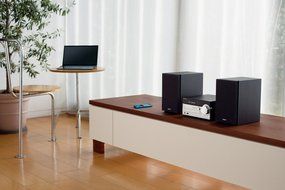 SONY multi audio component CMT-SX7 N2