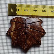 Coconut shell buttons 'Wood of Beauty'