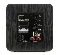 SVS SB-1000 - 300 Watt - 12" Powered Subwoofer (Black Ash Dual Subs) N12