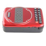 Longruner Portable Voice Amplifier Clock Fm USB Mini Megaphone Loudspeaker for Teacher,tour,sales(black) N10