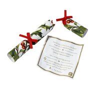 Talking Tables Botanical Christmas Saucer Crackers (8 Pack), Multicolor N2