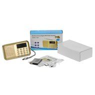eJiasu Digital Mini FM Radio with SD/USB/TF /MP3 Format Music Player (Gold) N3
