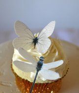 Edible Butterflies &amp; Dragonflies &copy; Set of 24 Black and White - Cake and Cupcake Toppers, Decoration N2