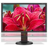 NEC E245WMI-BK 24&quot; Screen LED-Lit Monitor