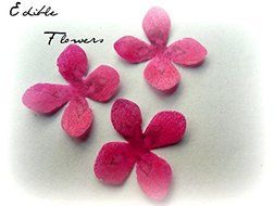 24 Assorted Rainbow Colors Decorative Wafer Paper Flowers&copy; Very Small, Mini 1.25&quot; Size Cake Toppers N5