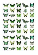 Cakeshop 45 x Green Butterflies Edible Cake Toppers