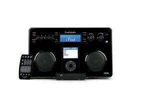 Tivoli iYiYi High-Fidelity AM/FM Stereo System with Alarm Clock and iPod Dock (Black/Silver) N2