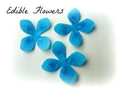24 Assorted Rainbow Colors Decorative Wafer Paper Flowers&copy; Very Small, Mini 1.25&quot; Size Cake Toppers N6