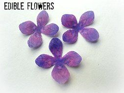 24 Assorted Rainbow Colors Decorative Wafer Paper Flowers&copy; Very Small, Mini 1.25&quot; Size Cake Toppers N7