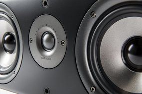 Polk Audio AM1585-A CS1 Series II Center Channel Speaker (Black) N2