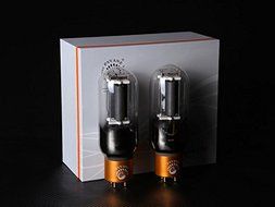 2PCS Psvane Treasure 845-T Mark II Vacuum Tube Matched Pair Premium Grade N3