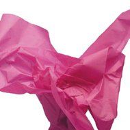 Dress My Cupcake DMC79515 200-Piece Tissue Paper, 20 by 14-Inch, Fuchsia